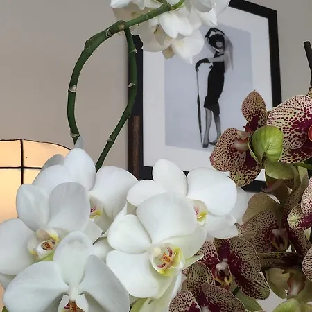 Cafe-restaurant Leo Отель Кальсдорф-бай-Грац