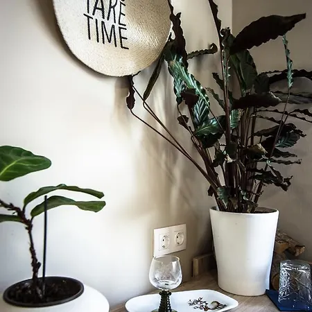 Отель Cafe-restaurant Leo