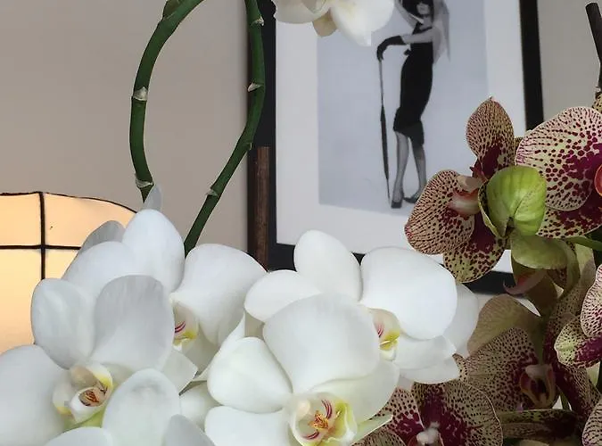 Cafe-restaurant Leo فندق كالسدورف باي غراتس