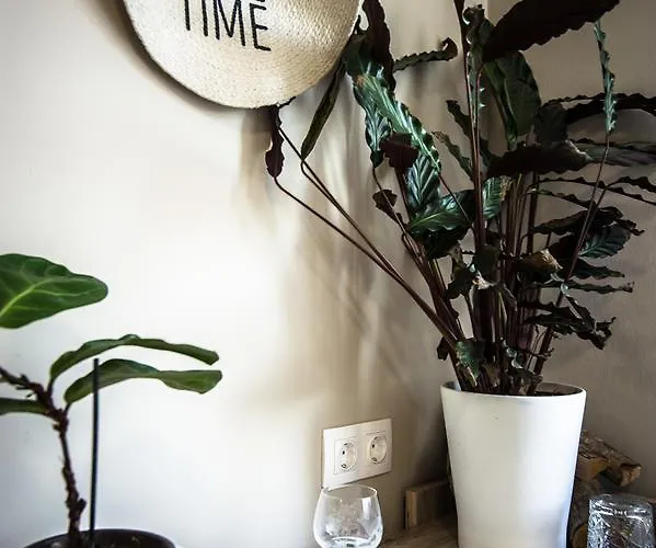 Отель Cafe-restaurant Leo